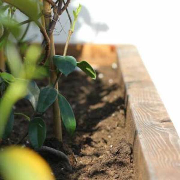 Greece tutorial flower box step 14