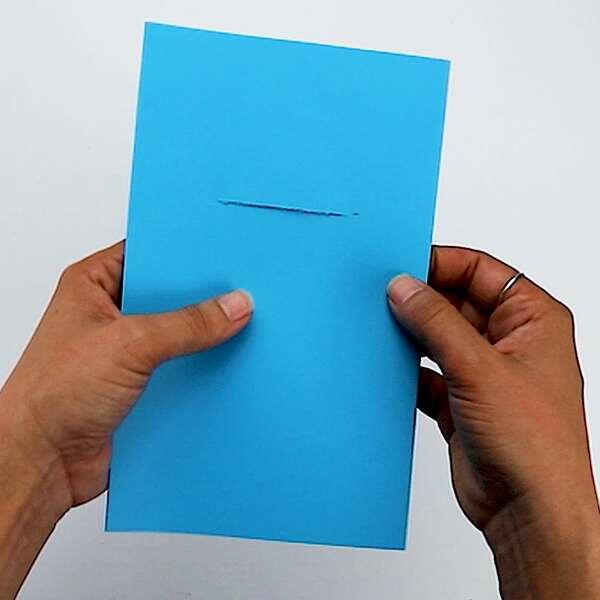 South Africa Tutorial Paper Dog step 6