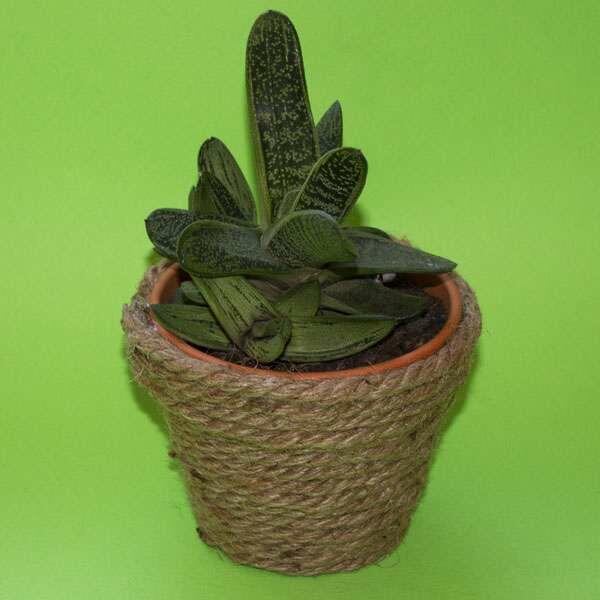 South Africa Tutorial Planter Pots step 3