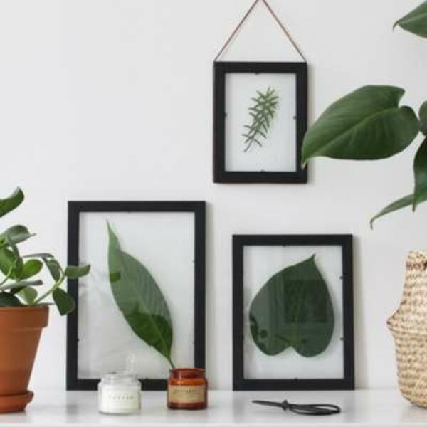 UK Tutorial plant image title