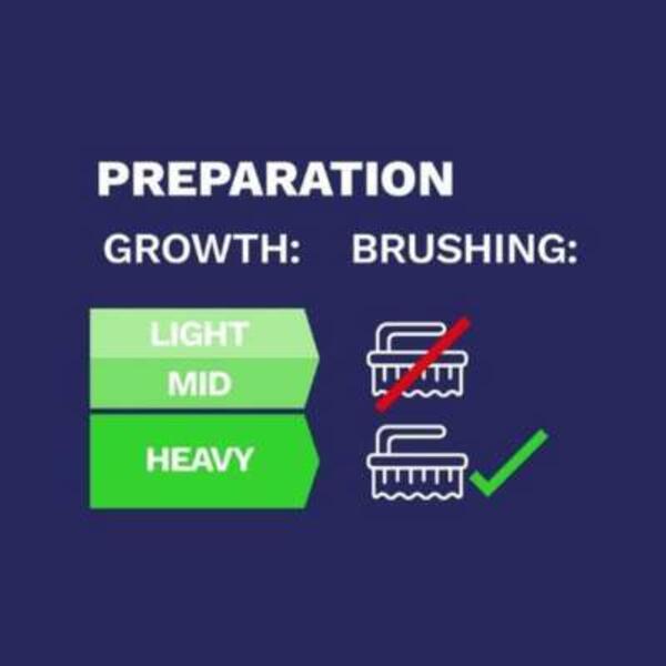 UK ideas inspo how to remove green growth 3