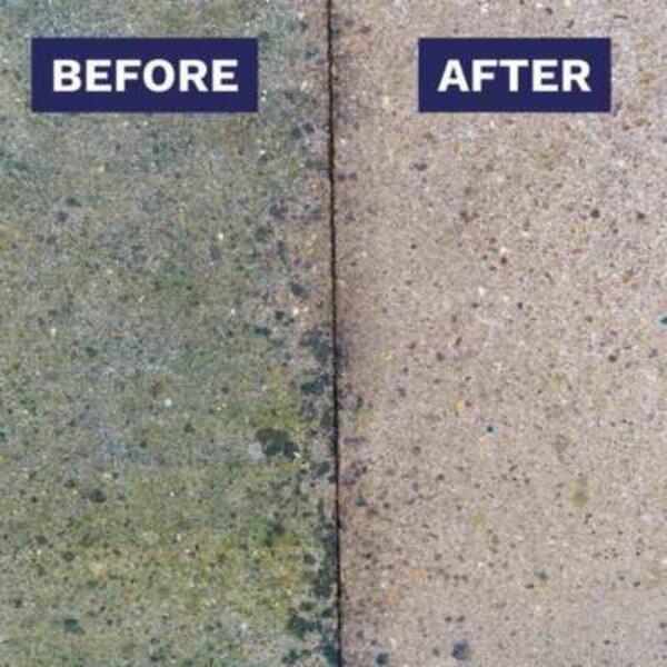 UK ideas inspo how to remove green growth 8