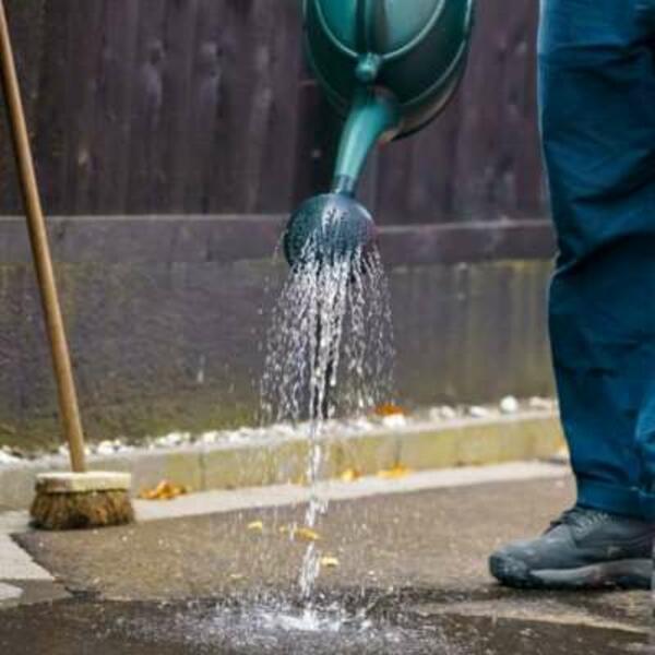 UK protect green remover 4