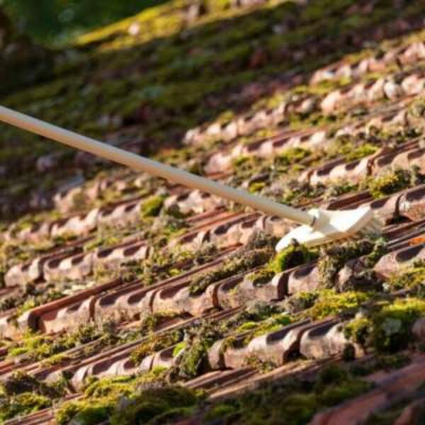 UK Protect - Green Remover App 7