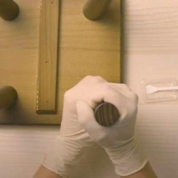 Poland how to glue wood step 7