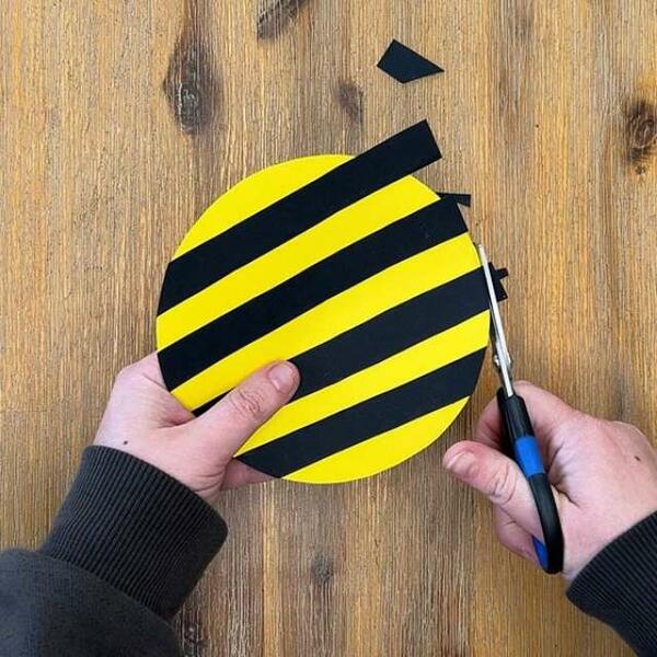 South Africa Tutorial Bumblebee Step 2