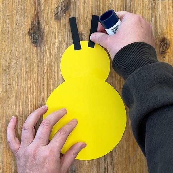 South Africa Tutorial Bumblebee Step 5