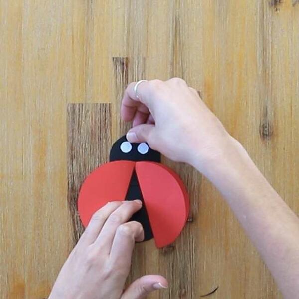 South Africa Tutorial Ladybug step 5