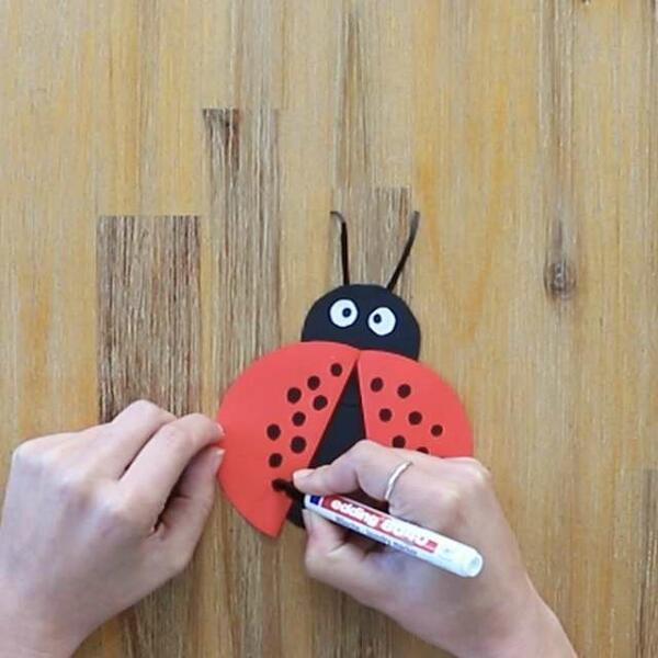 South Africa Tutorial Ladybug step 7