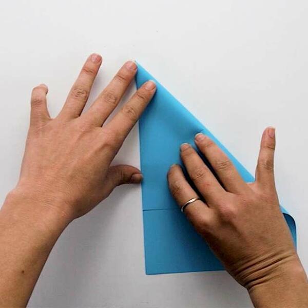 South africa ideas inspiration paper shark step 1