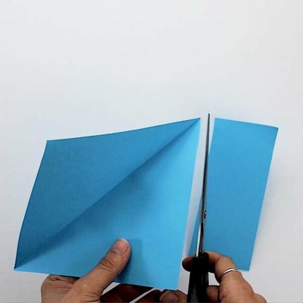 South africa ideas inspiration paper shark step 2