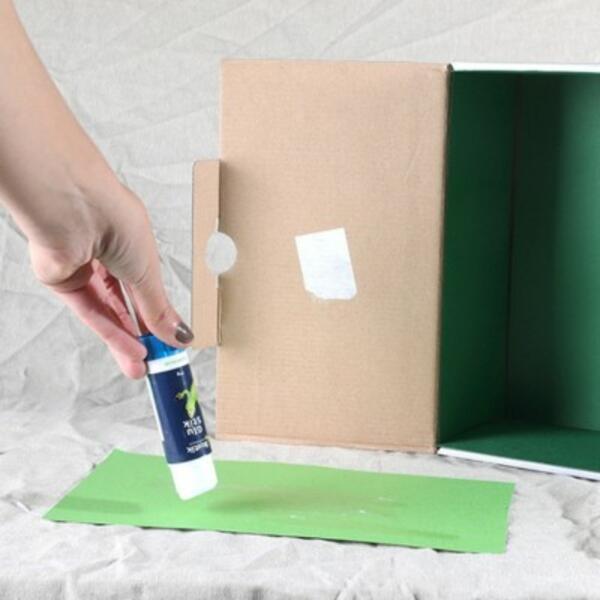 Australia rainforest Step 1