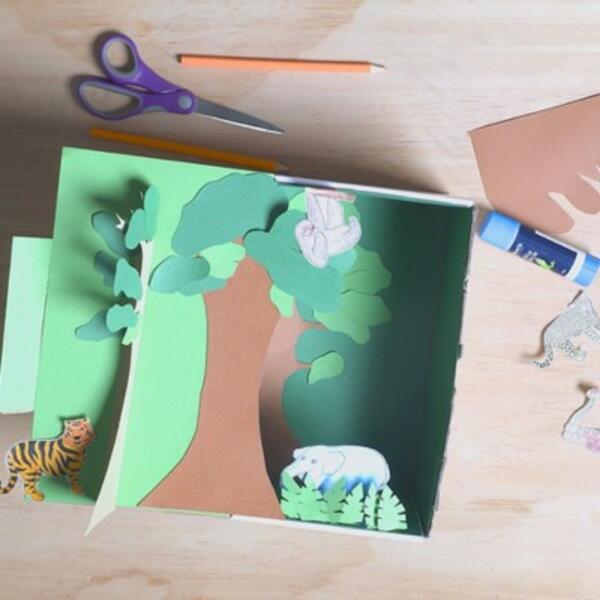 Australia rainforest Step 7