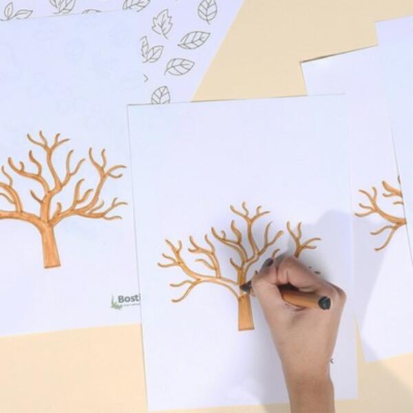 Australia tutorials weather tree step 1