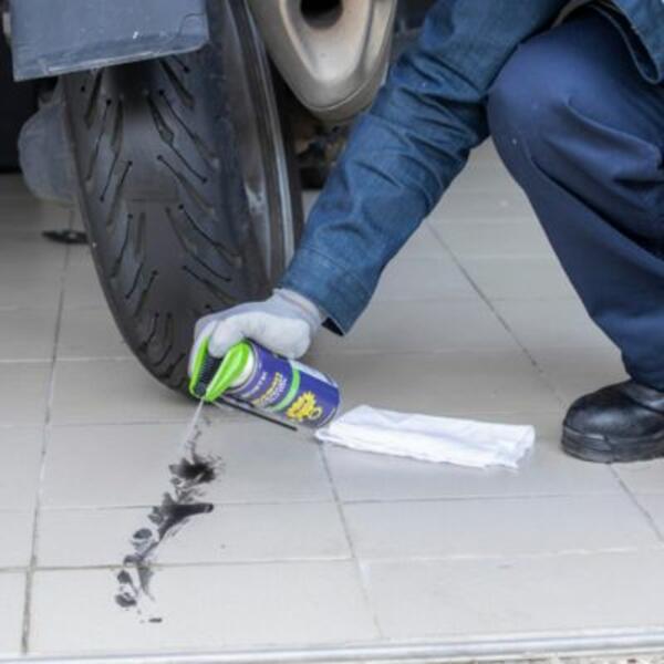 Moldova RU Protect curatare step 9