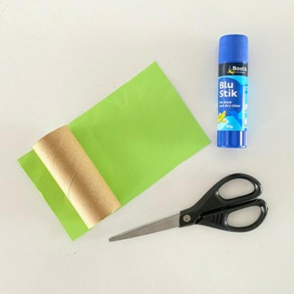 Australia tutorial toilet roll frog step 2