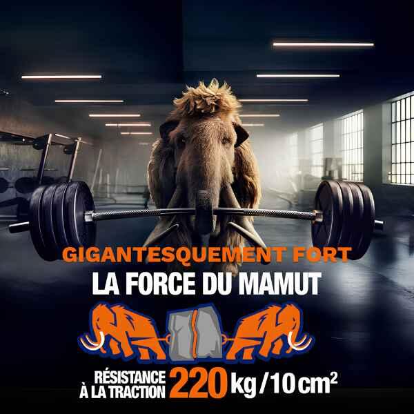 Belgium French Mamut Montagelijm produc  image 3
