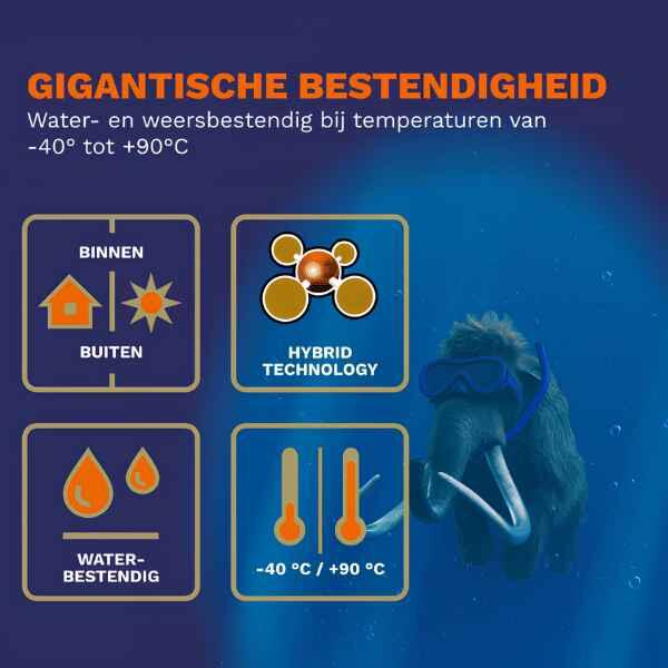 Belgium Mamut Montagelijm product image 4
