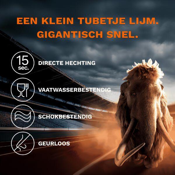 Belgium Secondelijm product image 3