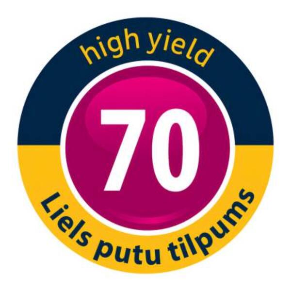 Latvia Perfect Fill Maxi 70 Pro Premium Foam Product image 3