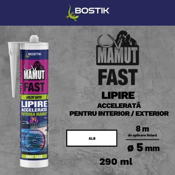 Mamut Fast adhesive application graphic showing recommended uses, including decorative façade profiles, shelves, decorative wall panels, and skirting boards. The product cartridge is displayed alongside example installation areas.